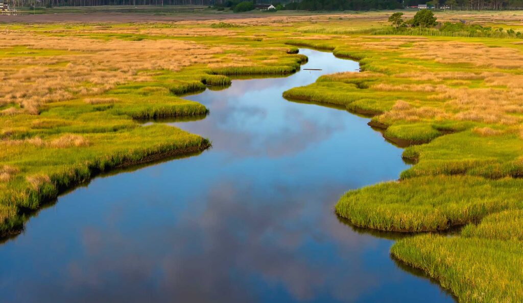 Aerial photo of a canal in the Guinea Marsh